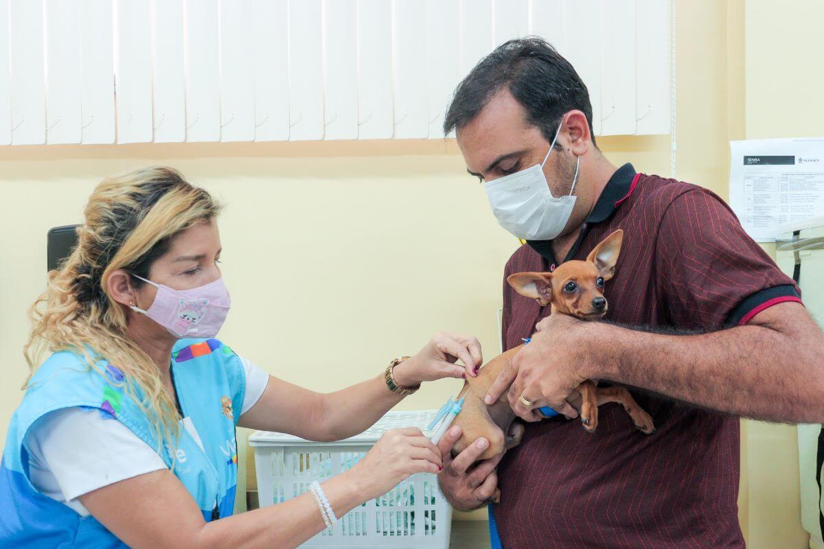 Prefeitura de Manaus realiza vacinação antirrábica todos os sábados durante o mês de março