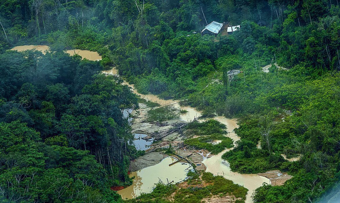 Greenpeace informa registro de 176 escavadeiras em terras Yanomami