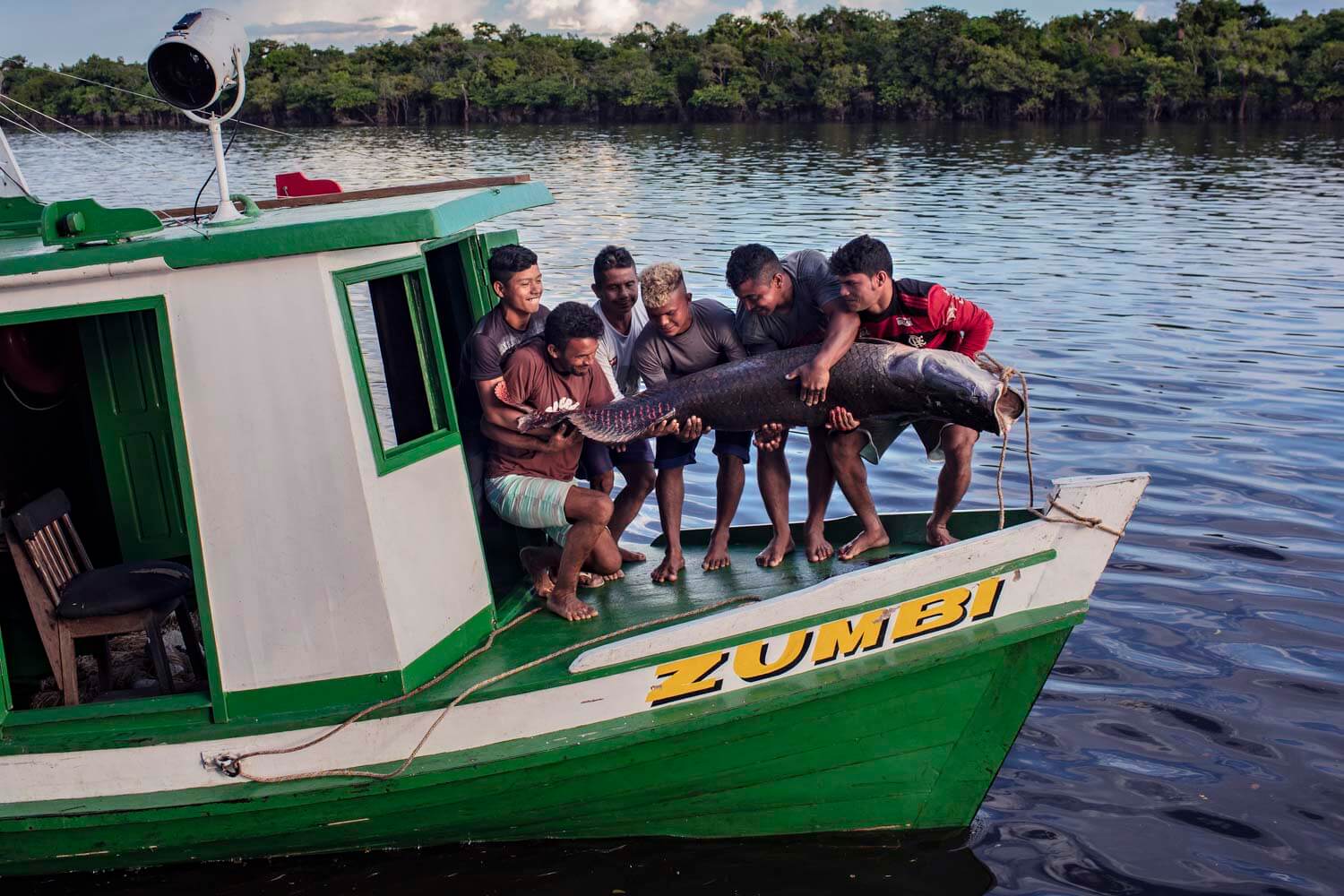 Coletivo do Pirarucu lança site que reúne informações sobre o manejo do pirarucu no Amazonas