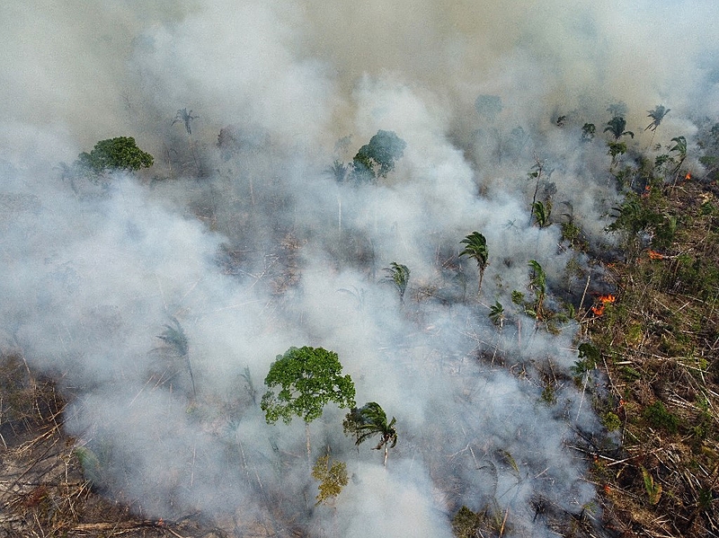 Novo epicentro do desmatamento: cidade do AM com maior área devastada tem grilagem, agropecuária e expectativa por rodovia