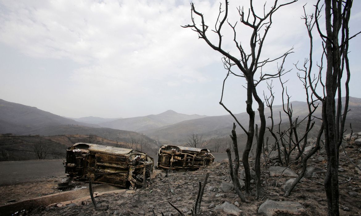 Incêndios florestais provocam mortes e destruição no Mediterrâneo