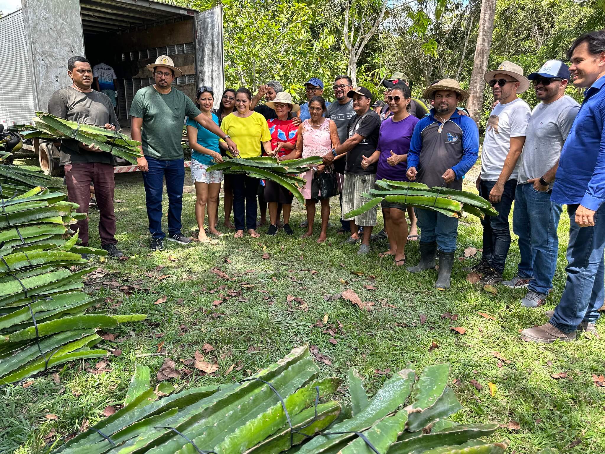 Programa ‘Manaus + Agro’ distribui cerca de sete mil mudas de pitaya em comunidade do Pau-Rosa
